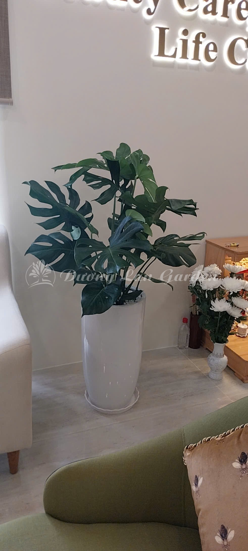 IMG_1753334765024_1753416566517