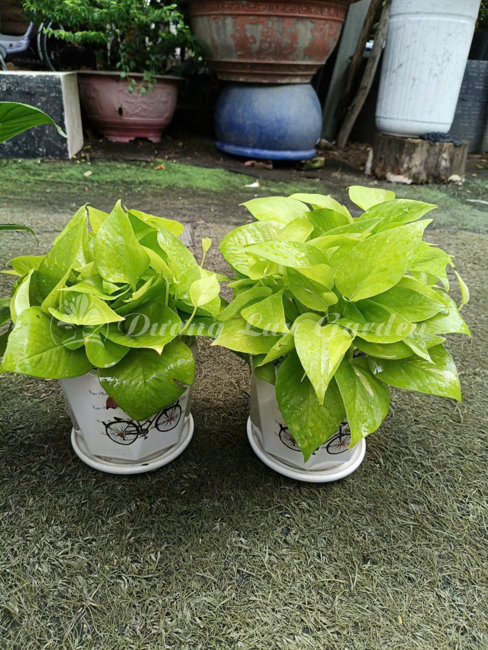 z7275964618891_e12b062033936e9cd26aa667b2d99a0f