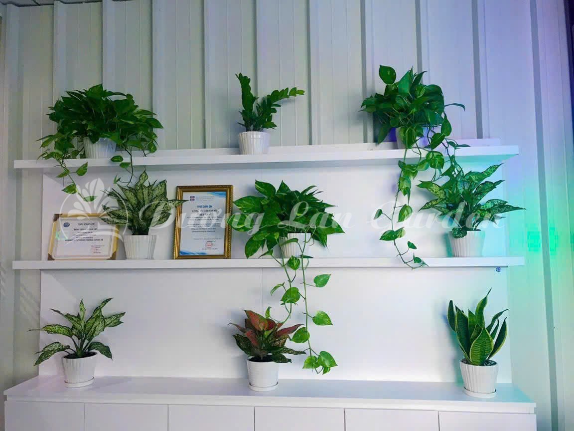 z7275968855636_e63314dc5c5668c9c1b74012fda2bc3c