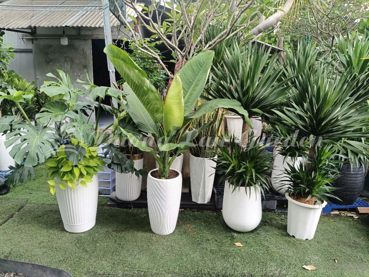 z7275879872676_736a8674863c883b36747cb7a92f25a0