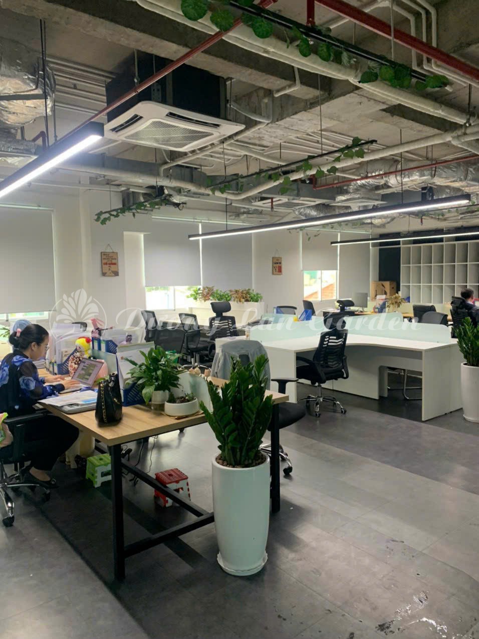 z7275939870947_4fb9257559e847ae6bbe8a7bc3159d01